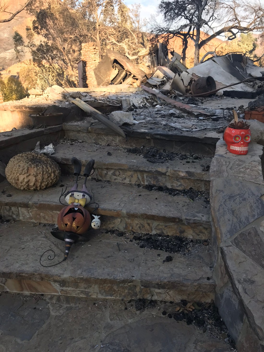 d154828c-6cbe-45b0-bcb2-b876d49ba141